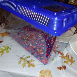 Pecera Nueva 15× 8 Pulgadas 