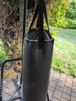 Everlast Punching Bag, Stand, Gloves
