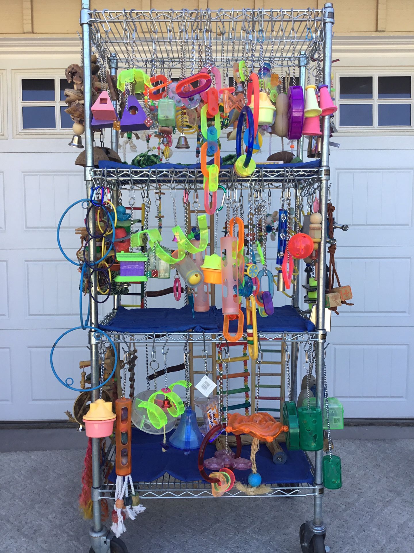 Bird / Parrot / Toys