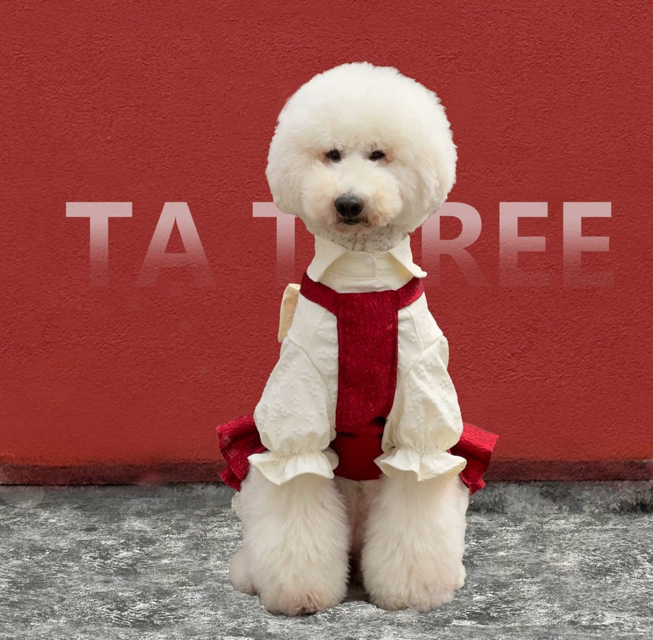 Dog Dress XL