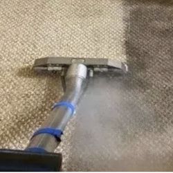 CARPET SHAMPOO