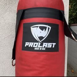 ProLast Punching Bag 