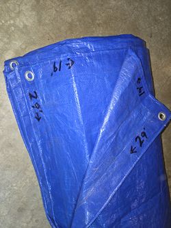 Large Blue Tarp 29'x19'