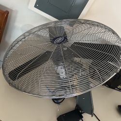 Fan