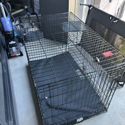 Free Kong Dog Crate And Kong Crate Pad 