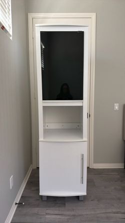 Entertainment Storage and stand