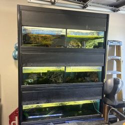 Professional Fish Tank Rack 