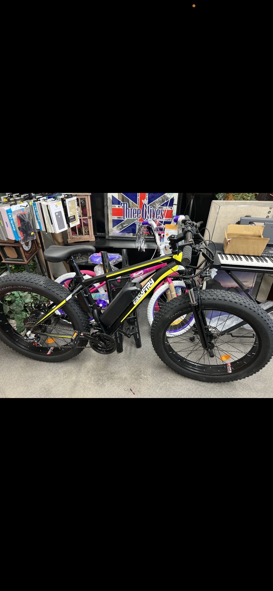 Fat Tire Electric Bike