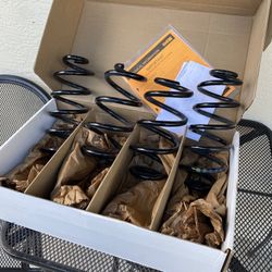 Audi S5 Original OEM Springs. 