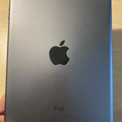 iPad Mini
