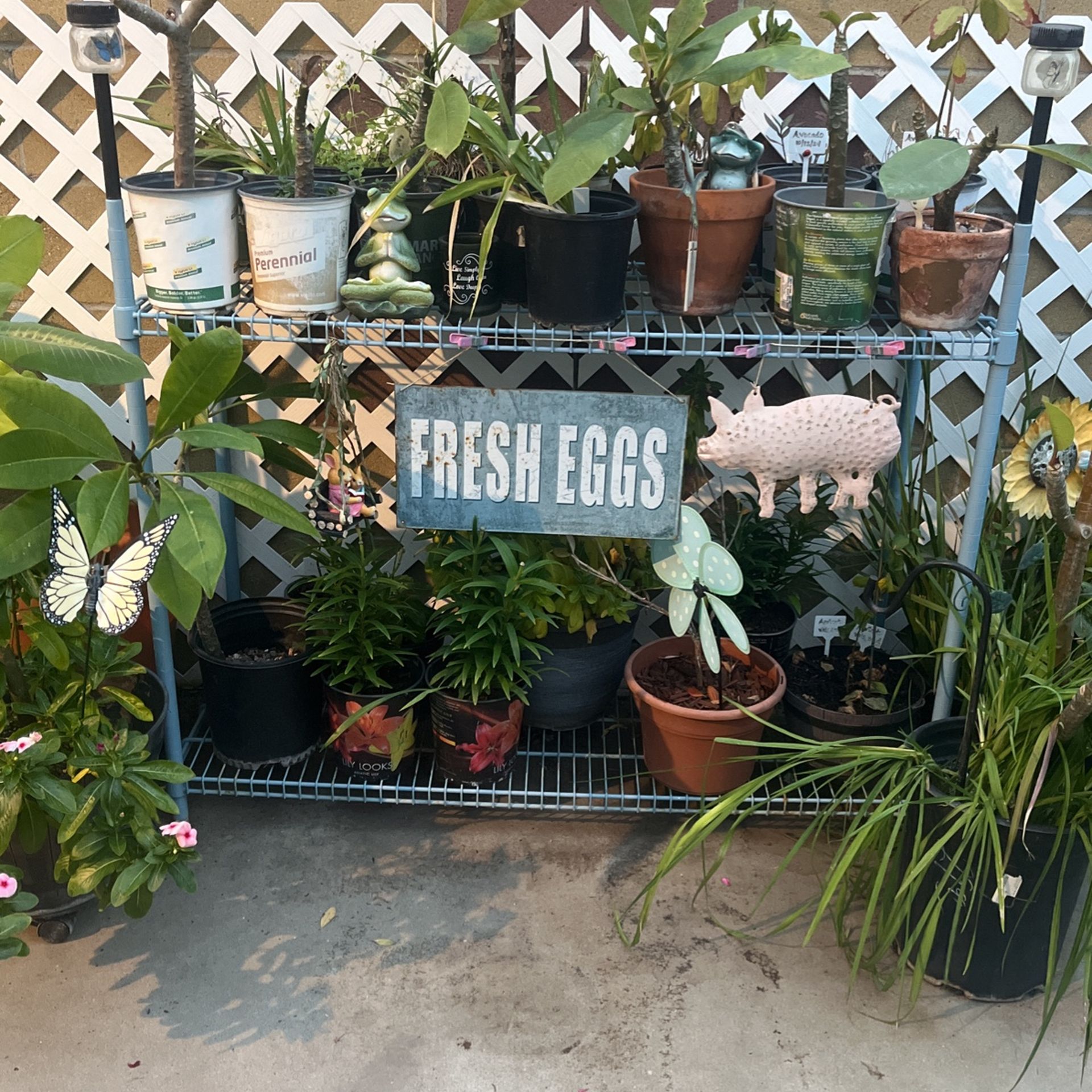 Plant Stand 2 Shelves