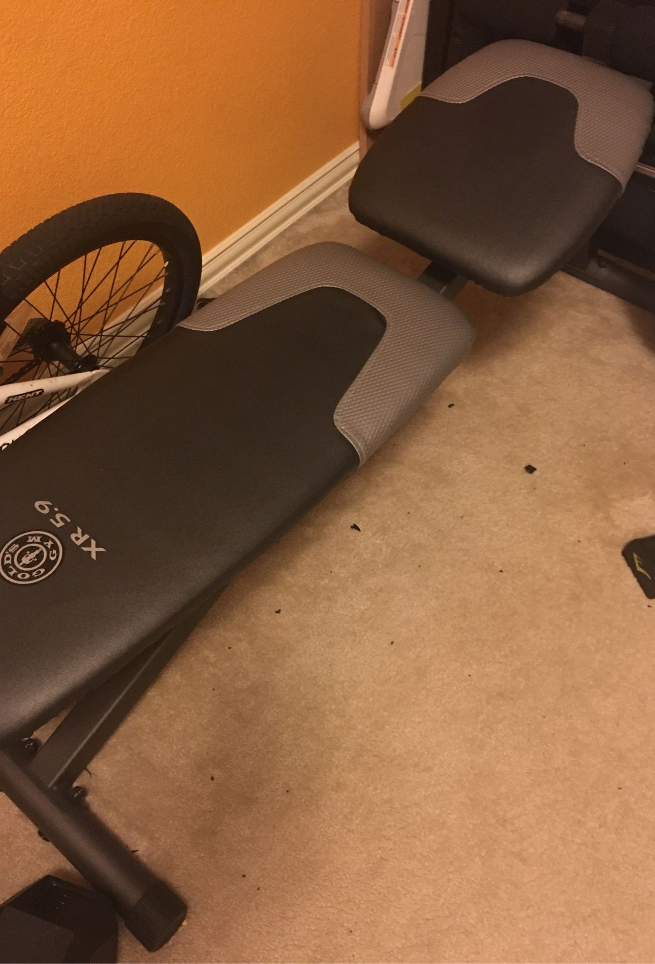 Golds gym workout bench