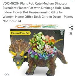 Dino Succulent Plant Pot
