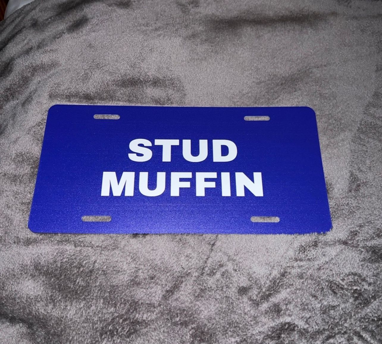 Novelty license plate