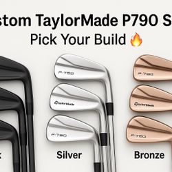 Custom TaylorMade P790 Irons — Blackout, Silver, Bronze | Dynamic Gold S300
