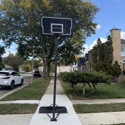 Lifetime Basketball Hoop
