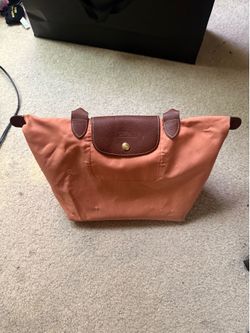Longchamp purse for the summer
