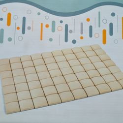 New Bath Mat, Quick Dry, Antibacterial 