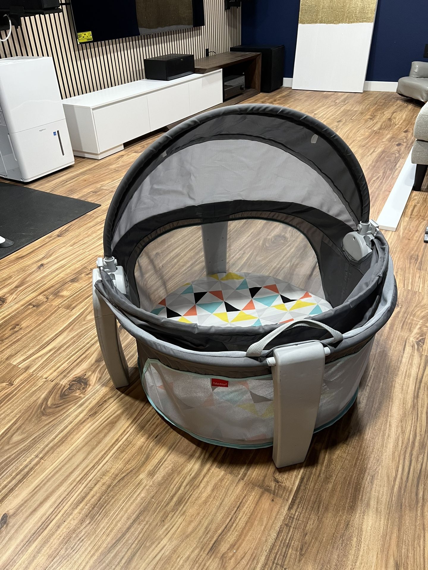 Fisher Price On-the-Go Infant Baby Some