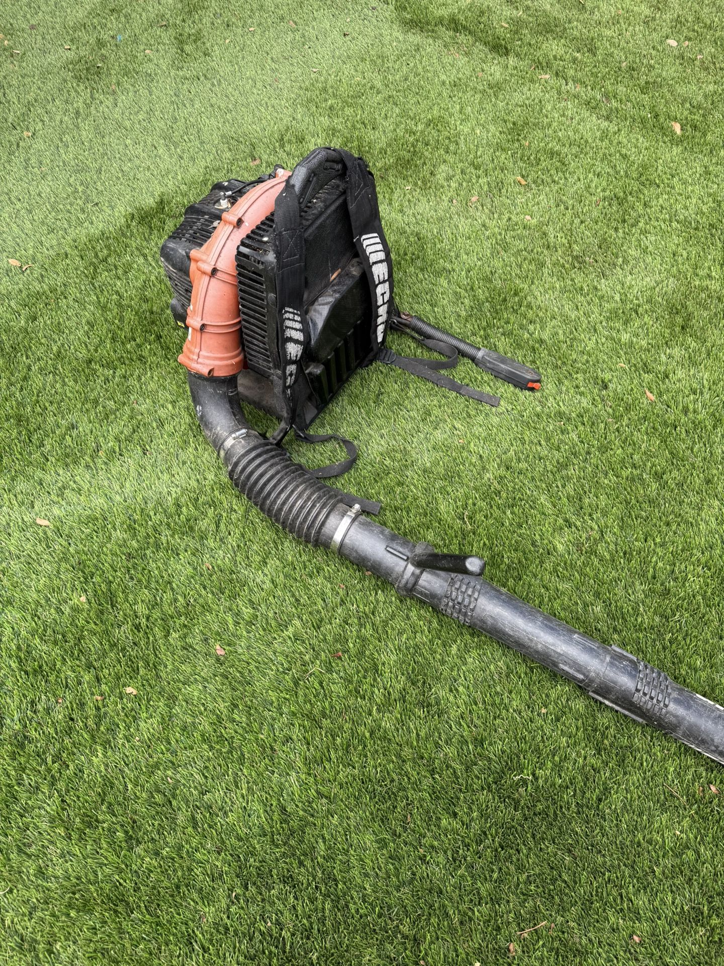 Echo Backpack Leaf Blower