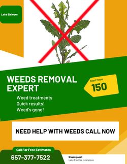 Weeds Treatment And Removal