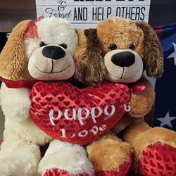 Cute VALENTINE'S LOVE ❤️ 