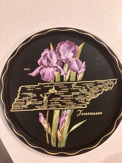 Tennessee state flower metal decor