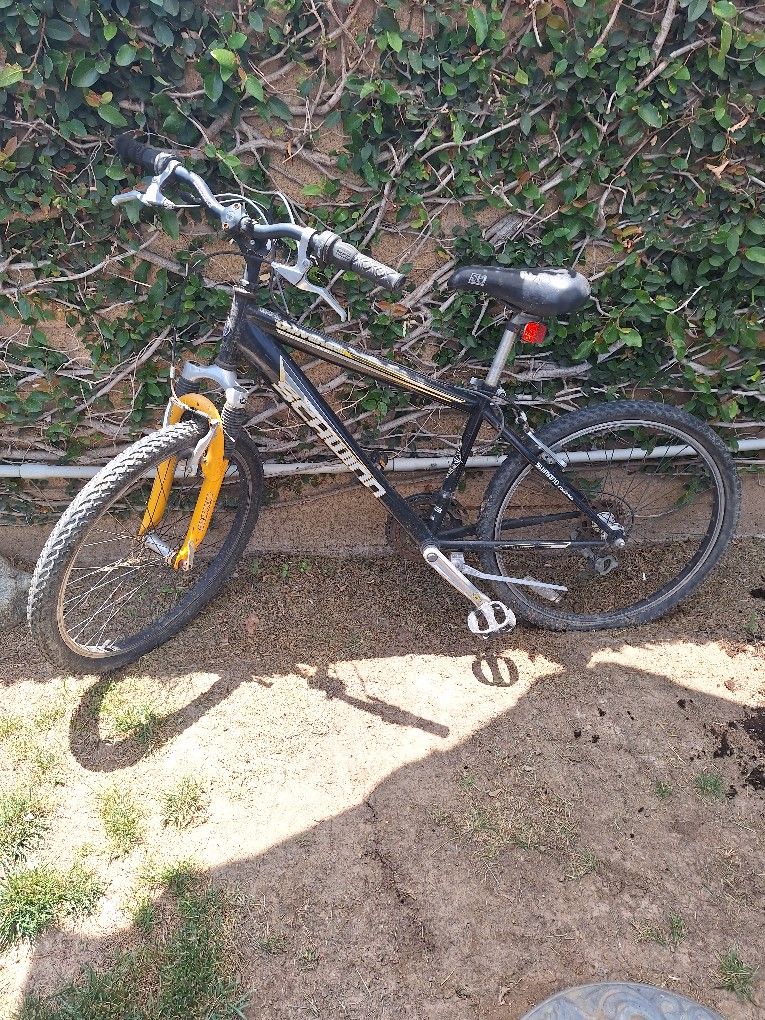 Schwinn Bike