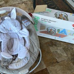 Ingenuity Baby Bouncer 