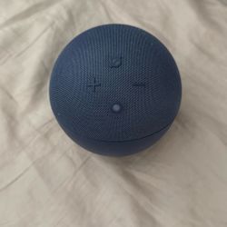 Echo Dot (Alexa)