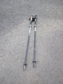 Black Diamond Alpine Flz Trekking Poles Pair