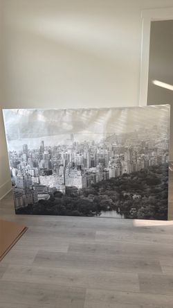 6ft x. 8 Central park Mural- must go today $20