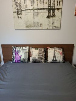 Themed Pillows