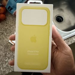 Apple iPhone 17 Pro Silicone Case