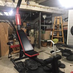 Free Bowflex, weight bench, and weights