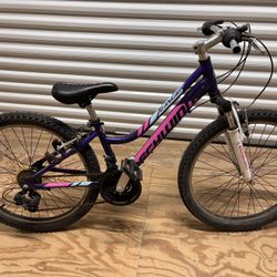 Bicycle, Schwinn Ranger