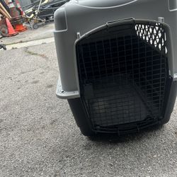 Dog Kennel
