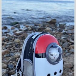 Front Expandable Cat Backpack Carrier, Fit up to 20 lbs, Space Capsule Astronaut Cat Bubble Backpack to Carry and Transport Large Fat Ca