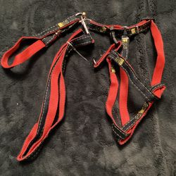 Small Harness, Leash, And Collar 
