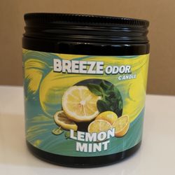 Lemon Mint 13oz Candle