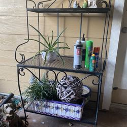 Plant  Holder