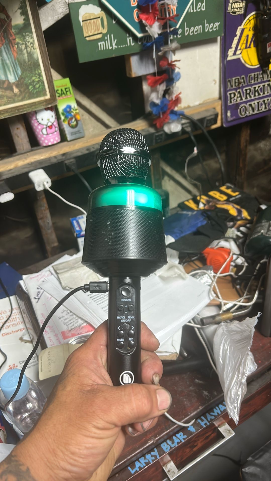 Karaoke Mic