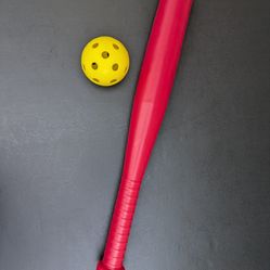 Toddler Baseball Set with 2 Balls