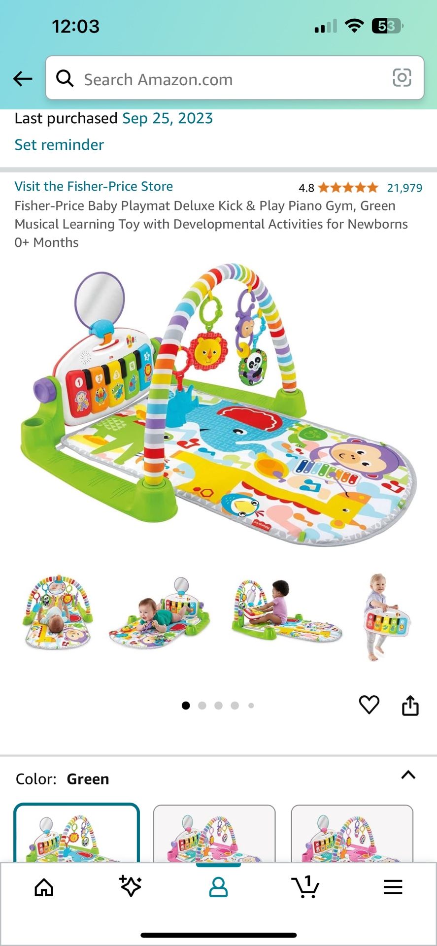 Fisher Price Play Mat