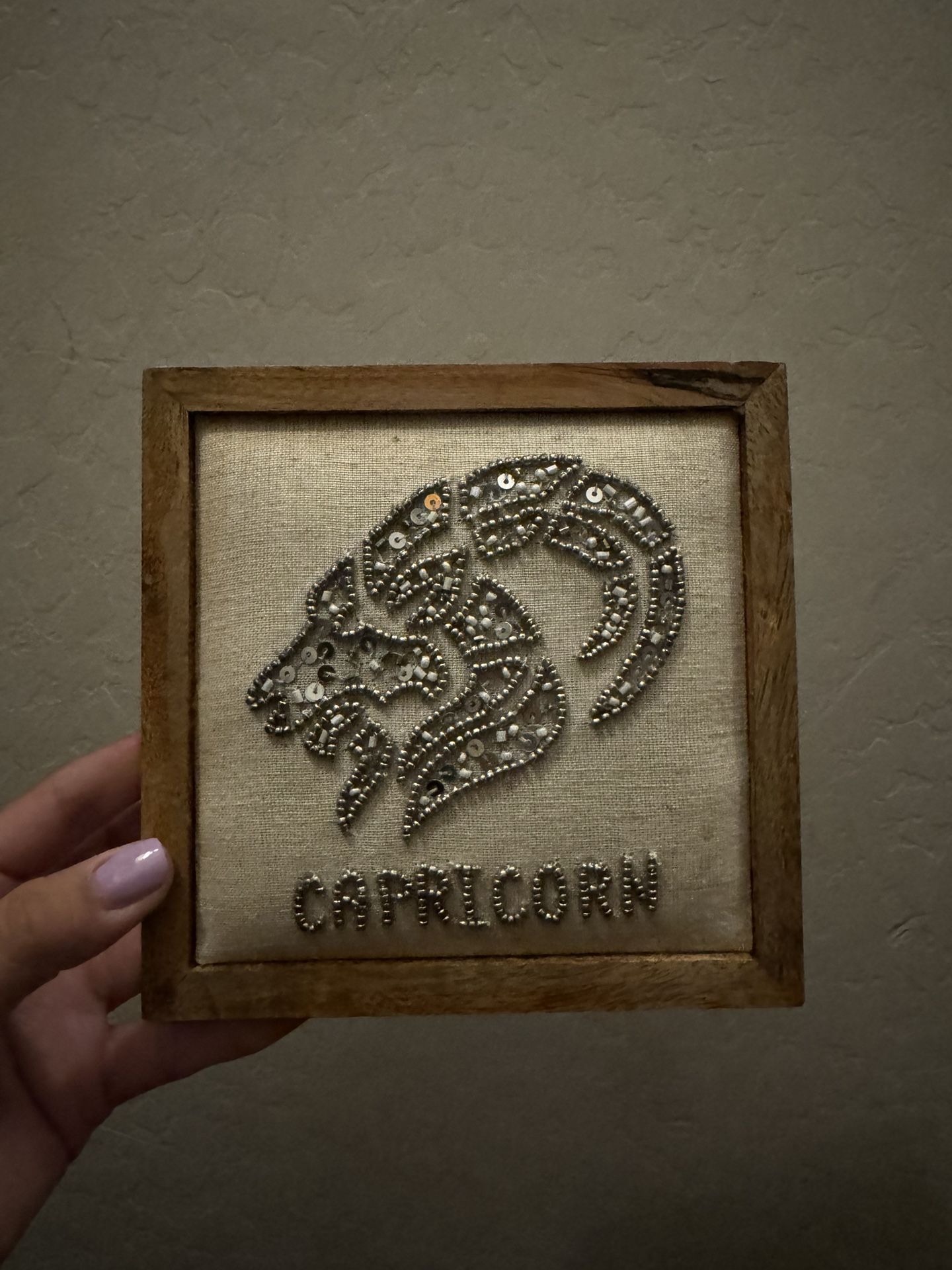 Brand New Capricorn Decorative Picture