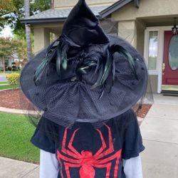Halloween Black Veiled Witch Hat