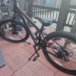 schwinn mountain bike 24”