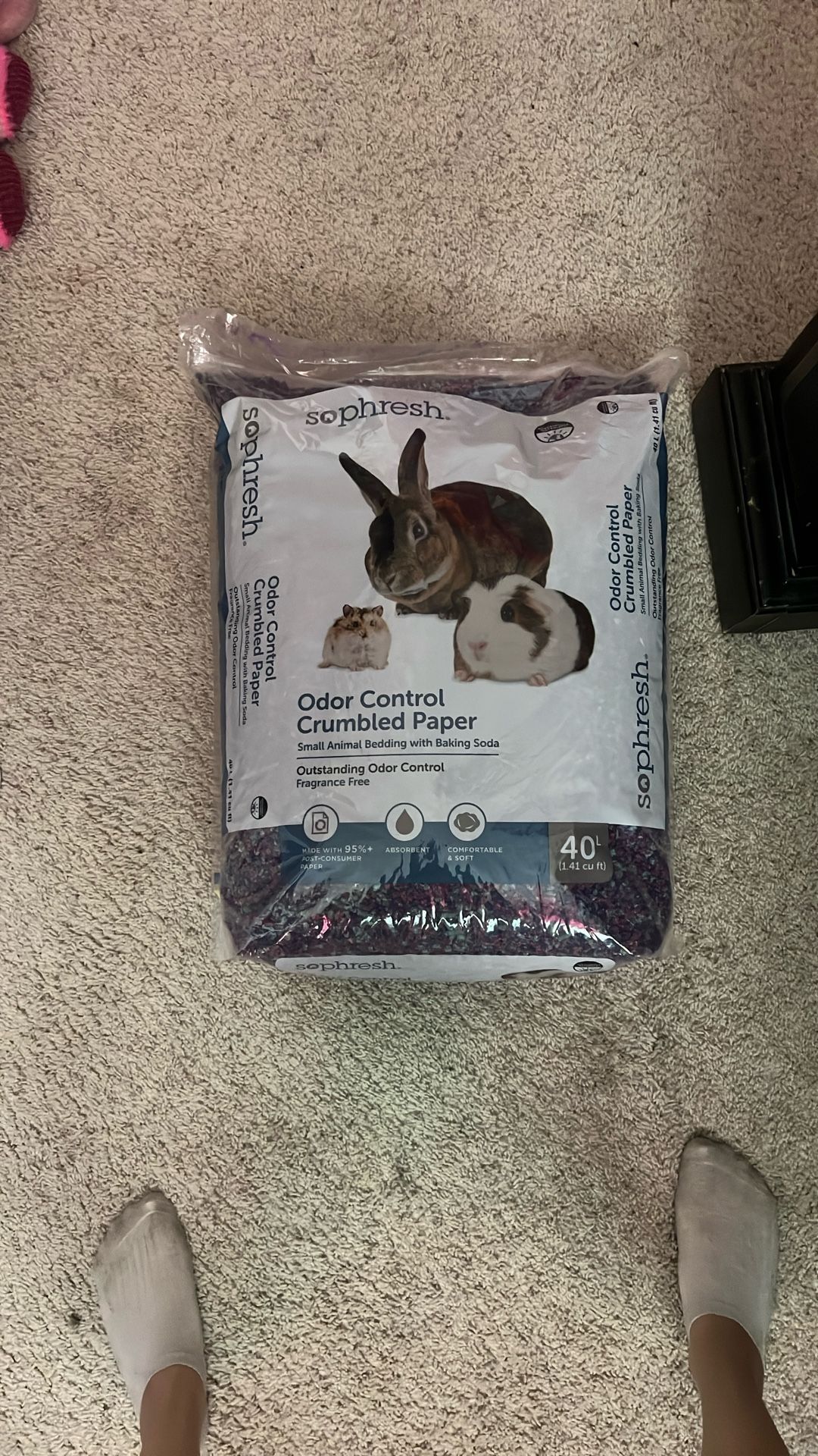 Hamster,guinea, bunny, bedding