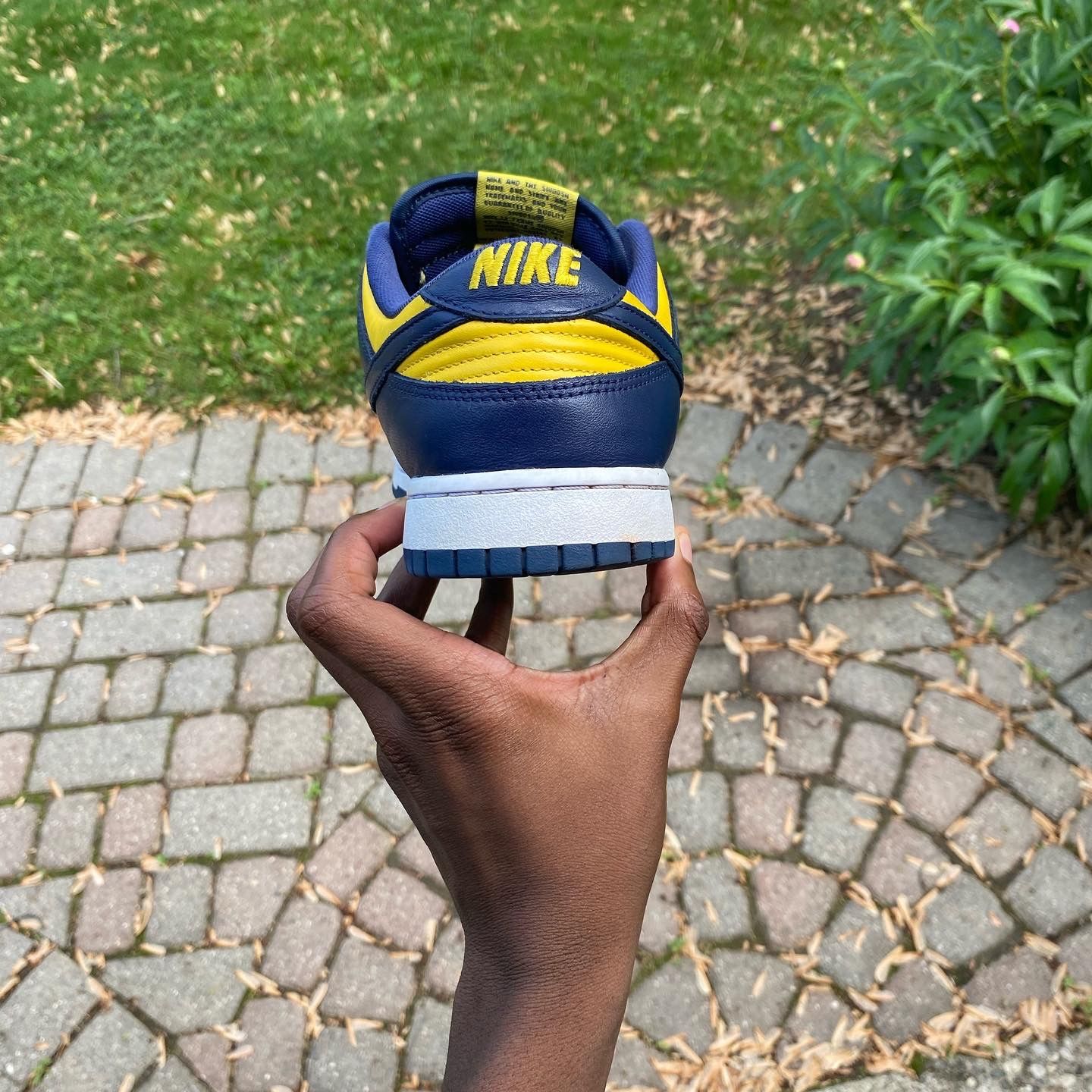 Styling Michigan Dunks Nike Dunk Low 'Michigan State' — Kick Game
