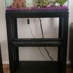 20 Gallon Aquarium 